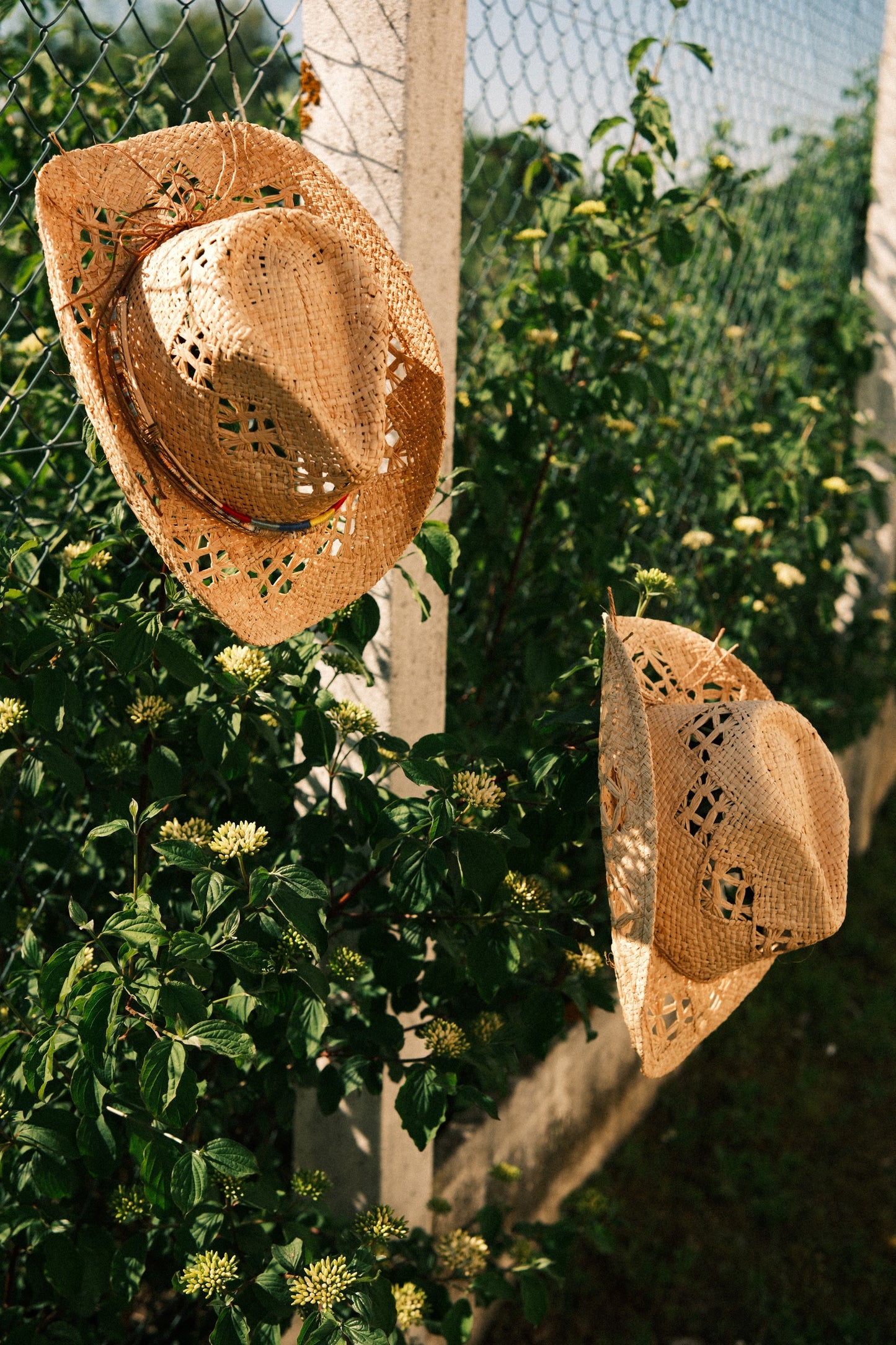 Chapeaux Bella Vita