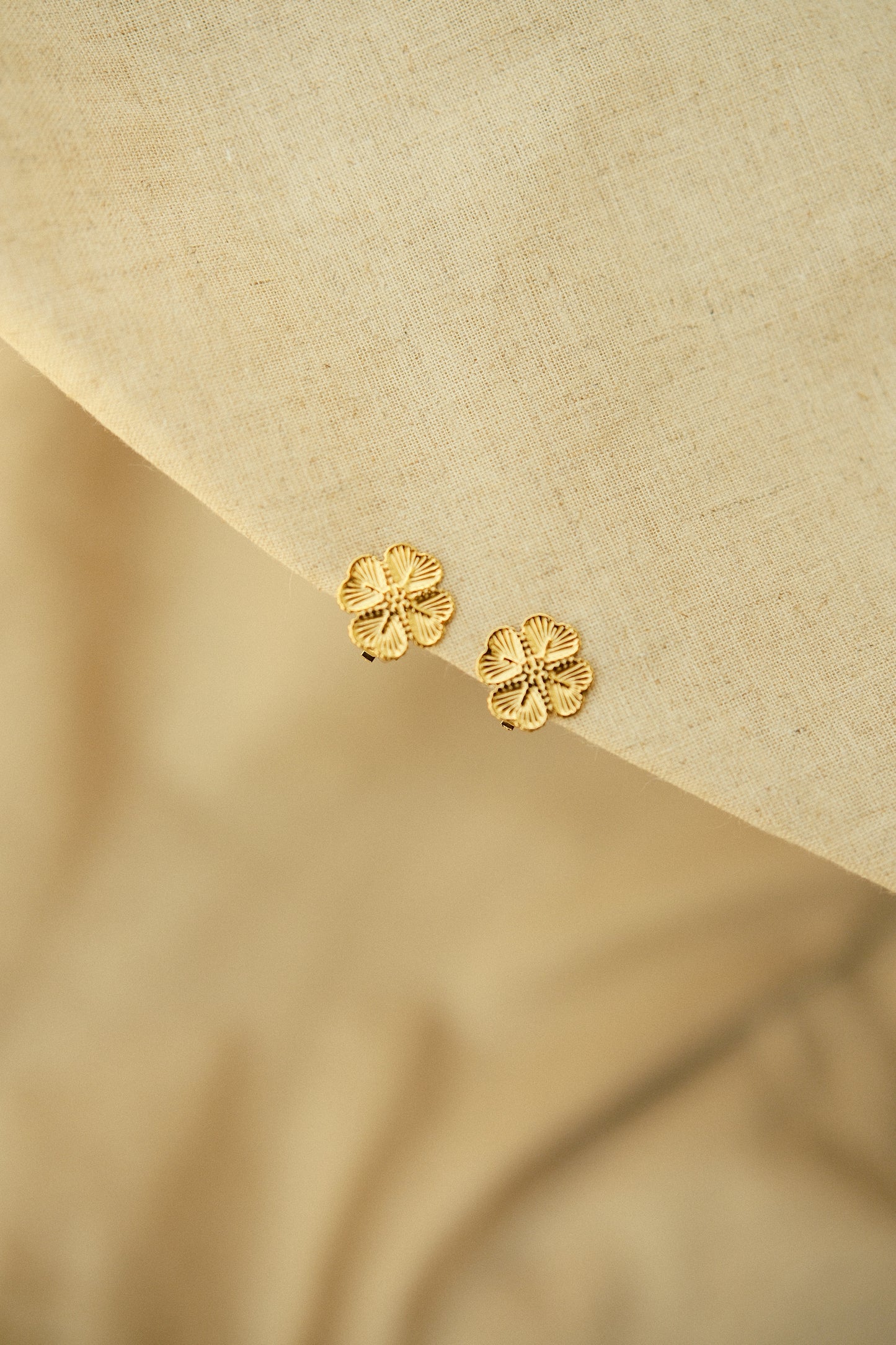 Boucles d’oreilles Clip-On Chic ! Sans perçage, tout en élégance