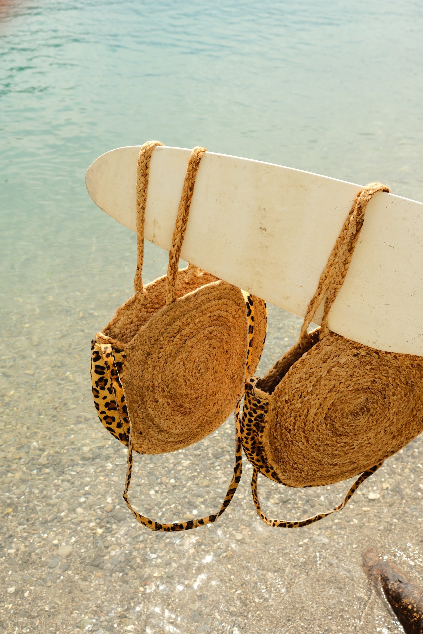 Panier Annecy
