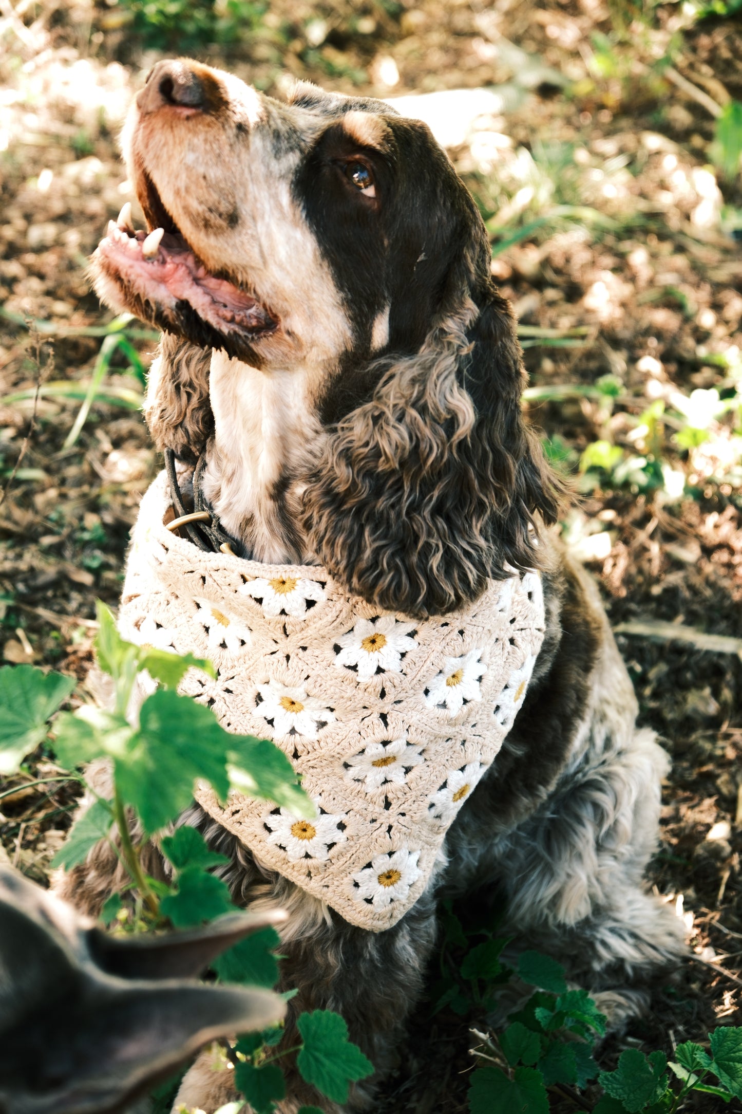 Bandanas