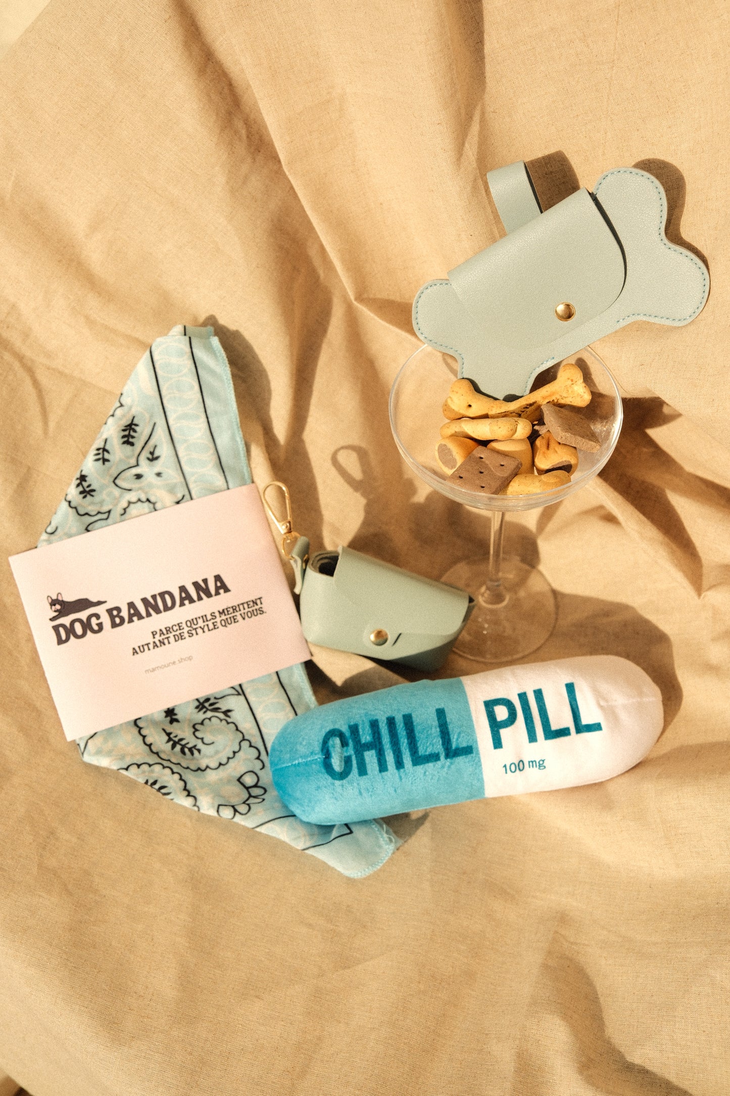 Foulards pour chiens