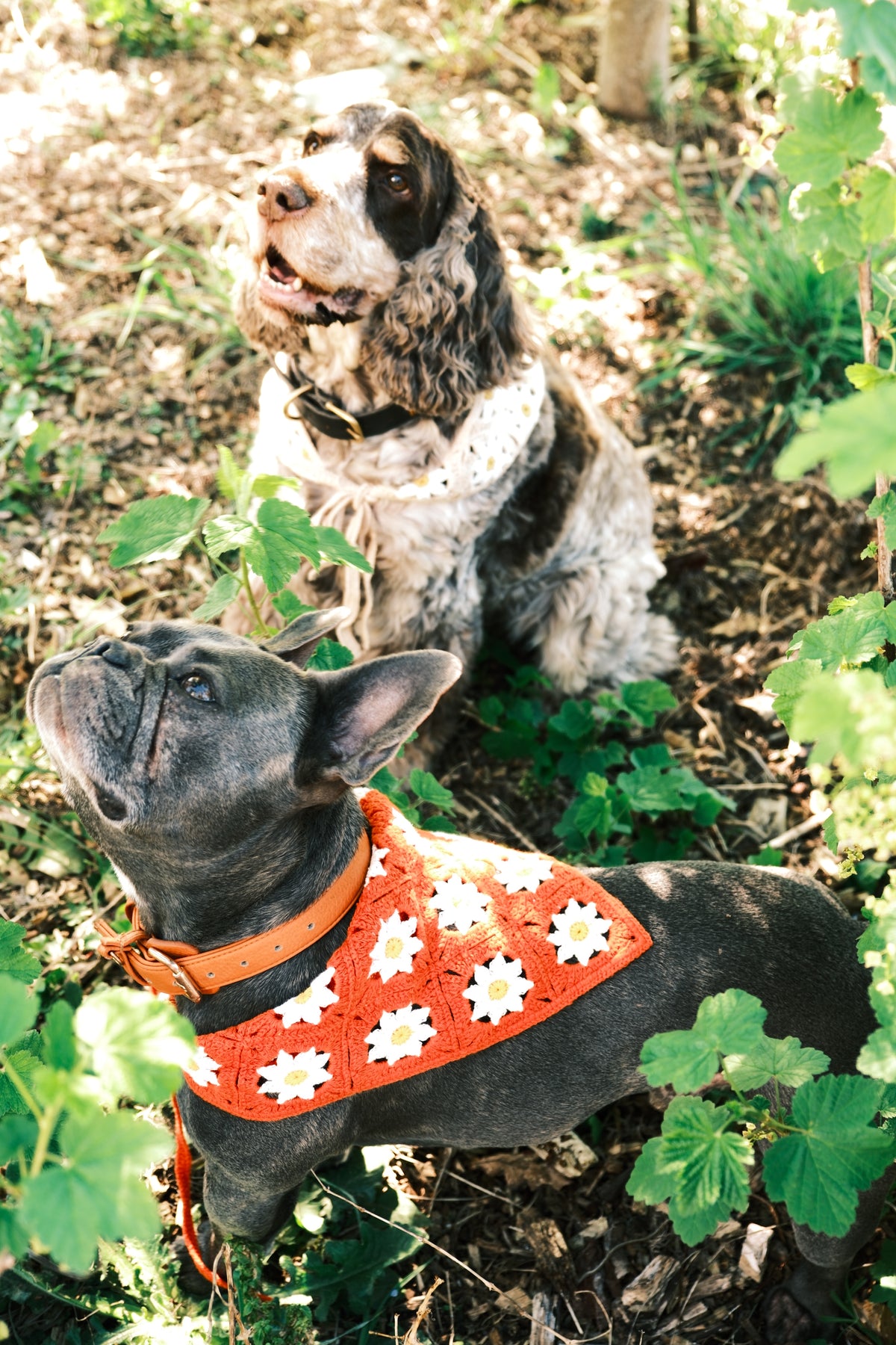 Bandanas