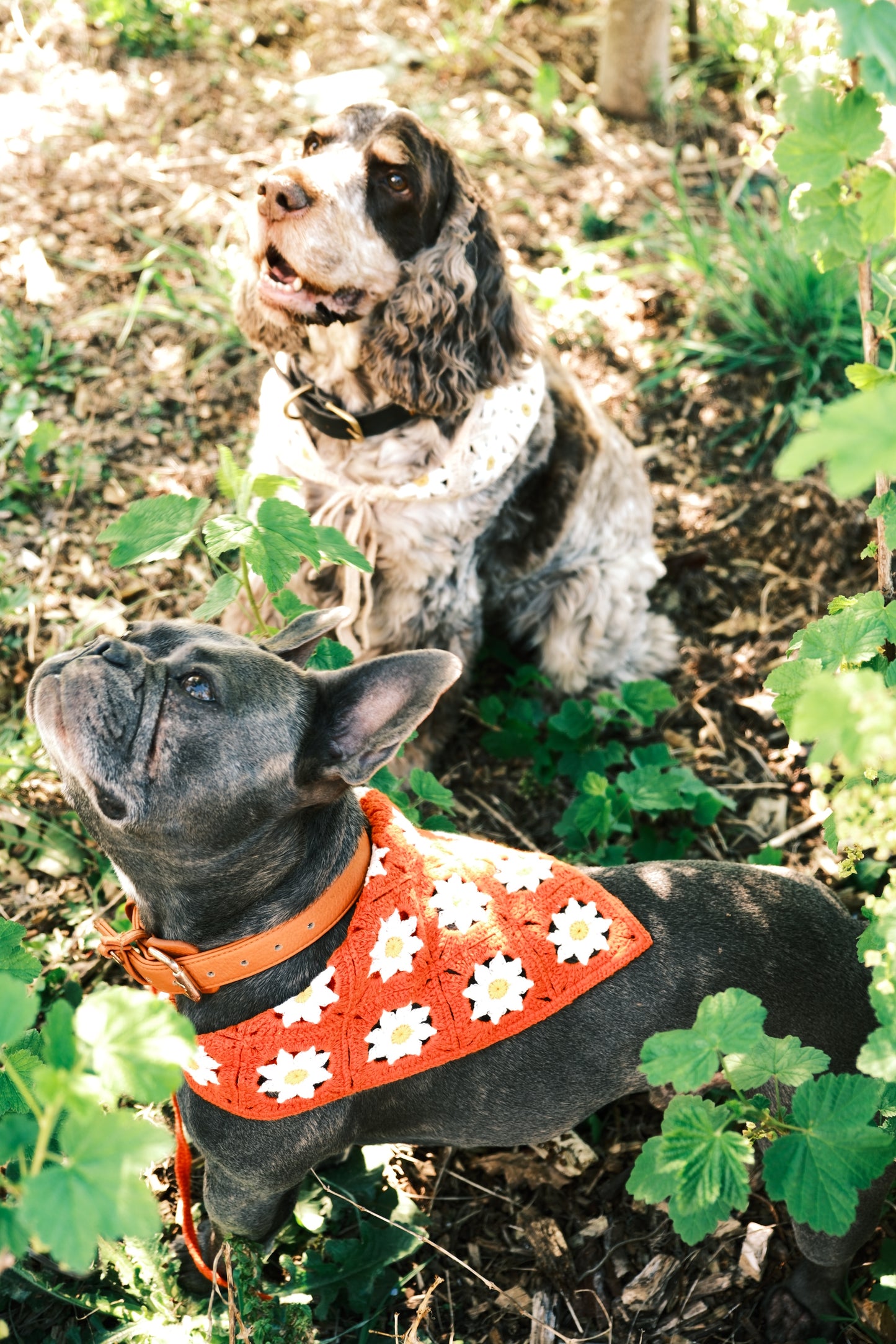 Bandanas