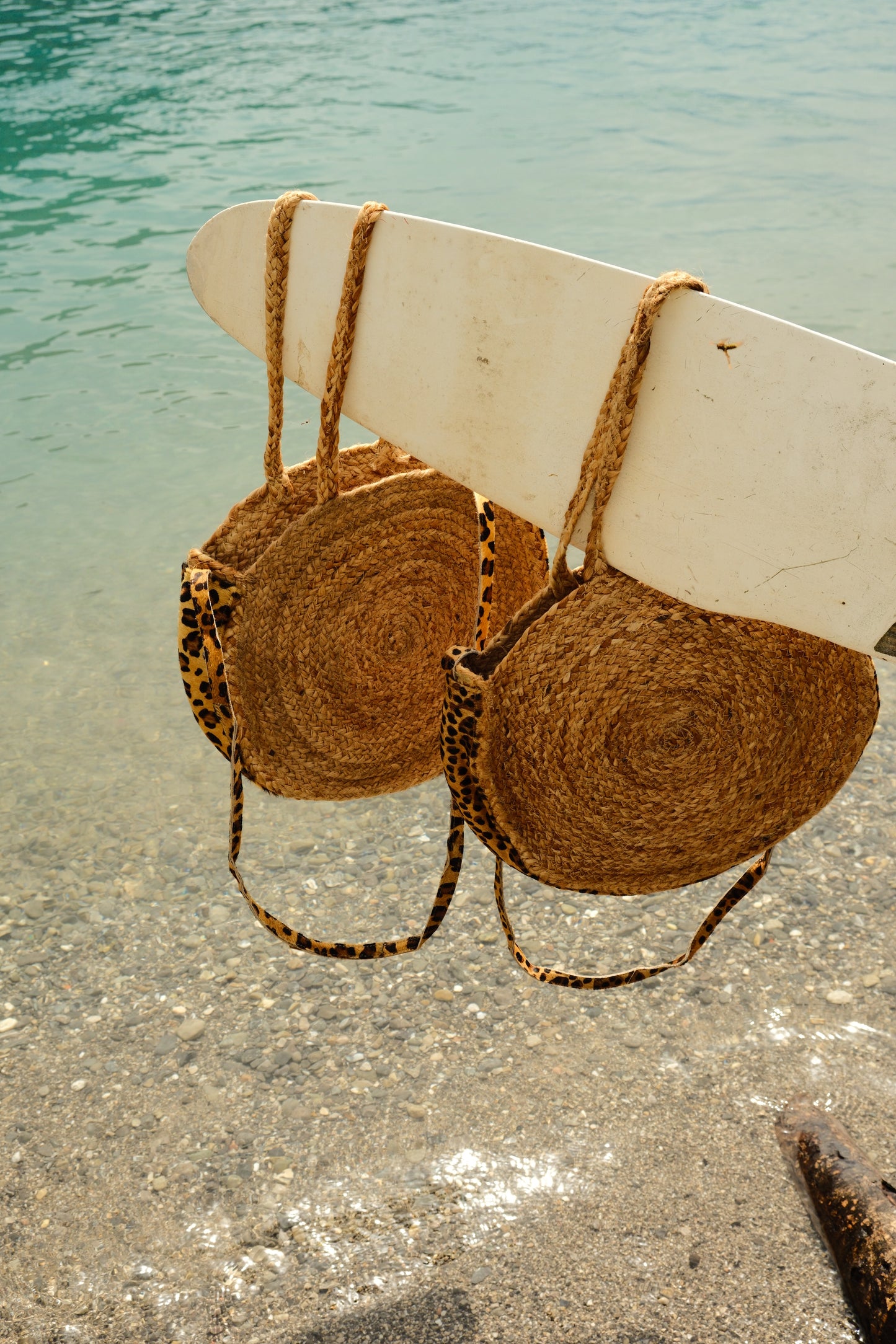 Panier Annecy