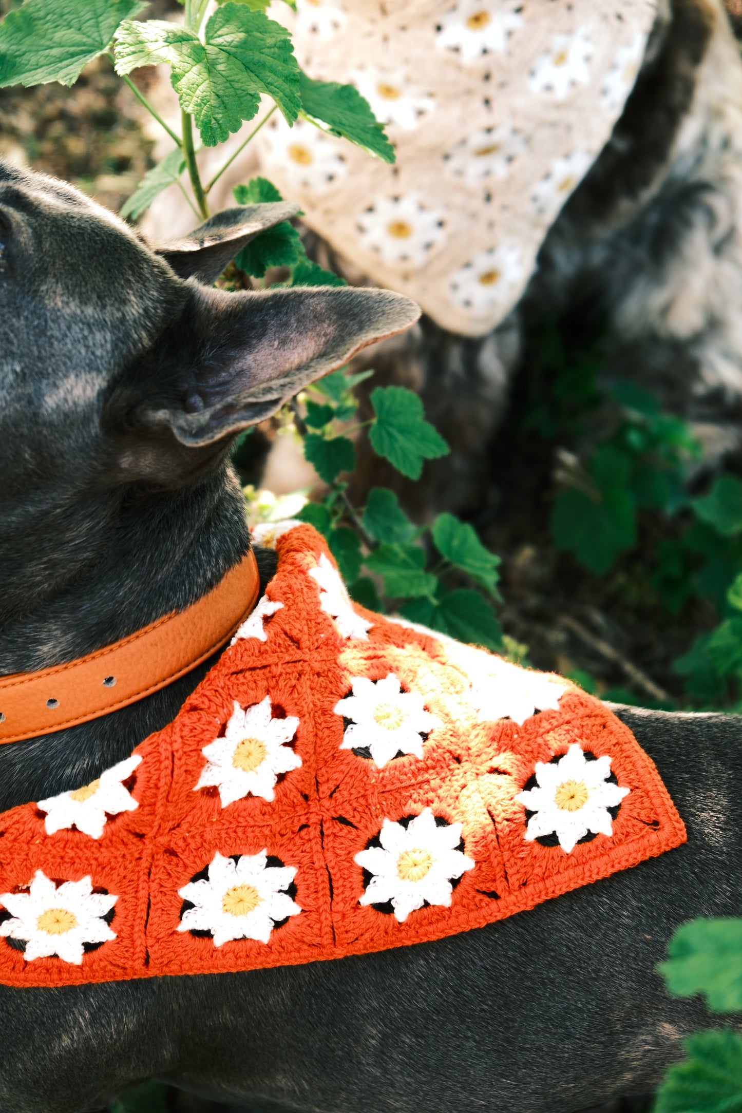 Bandanas
