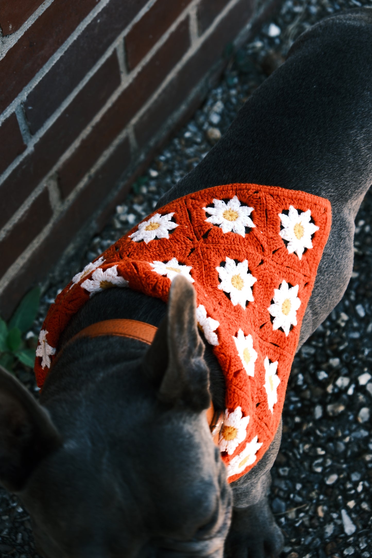 Bandanas