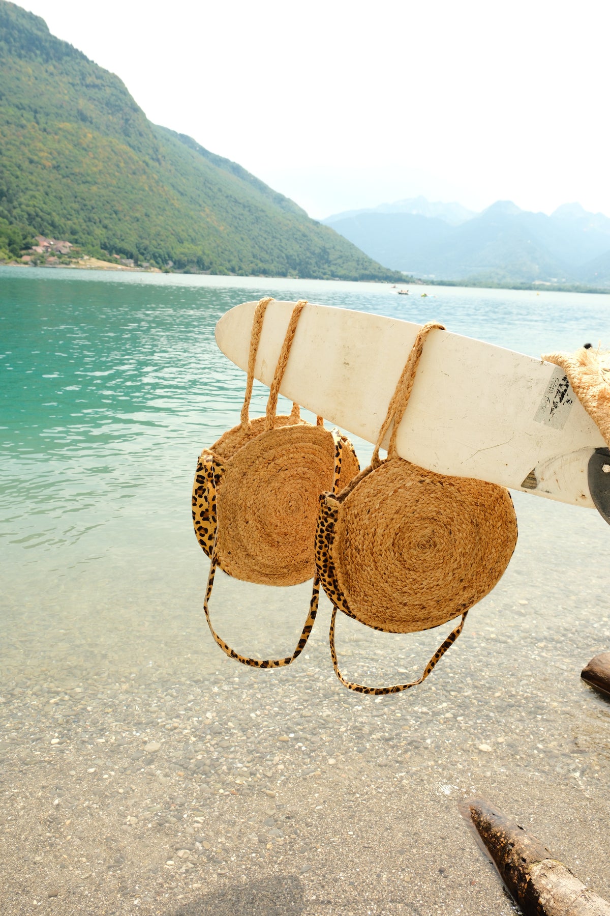 Panier Annecy