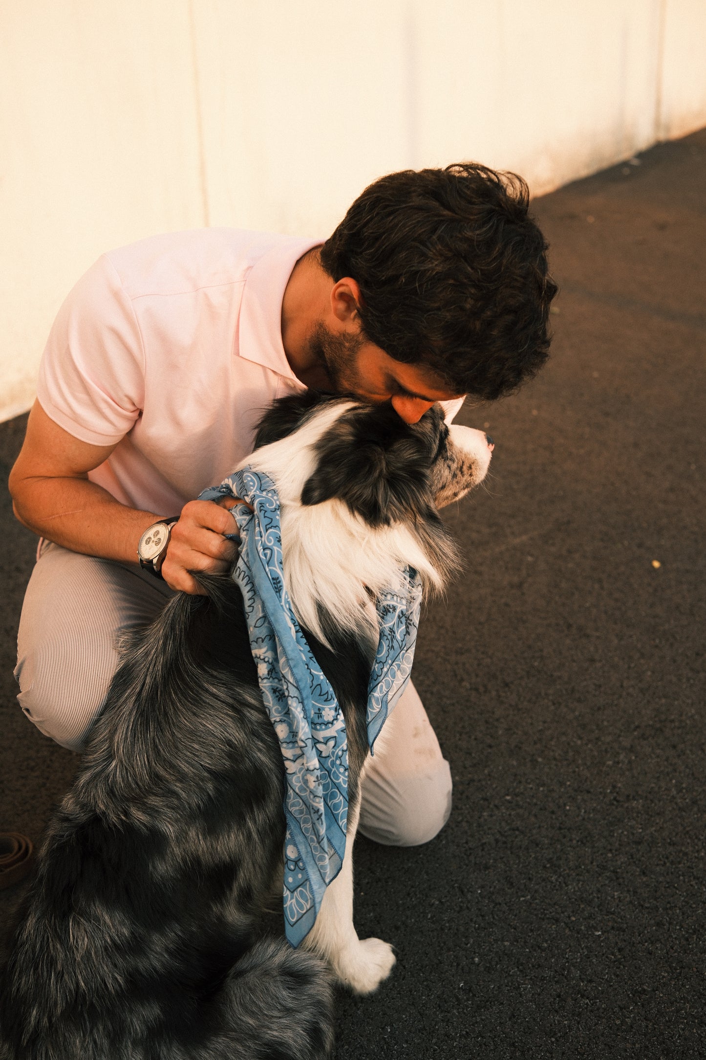 Foulards pour chiens