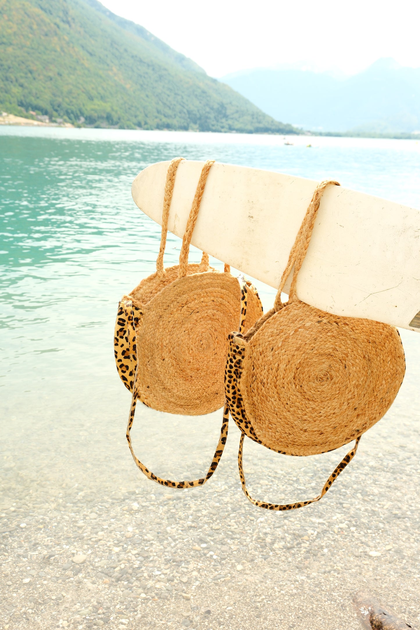 Panier Annecy