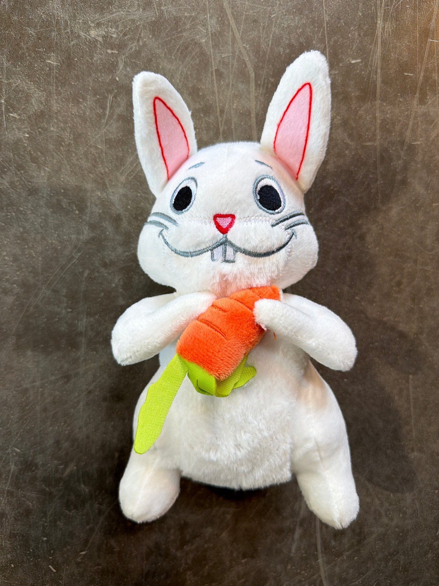 Jouets pour chiens