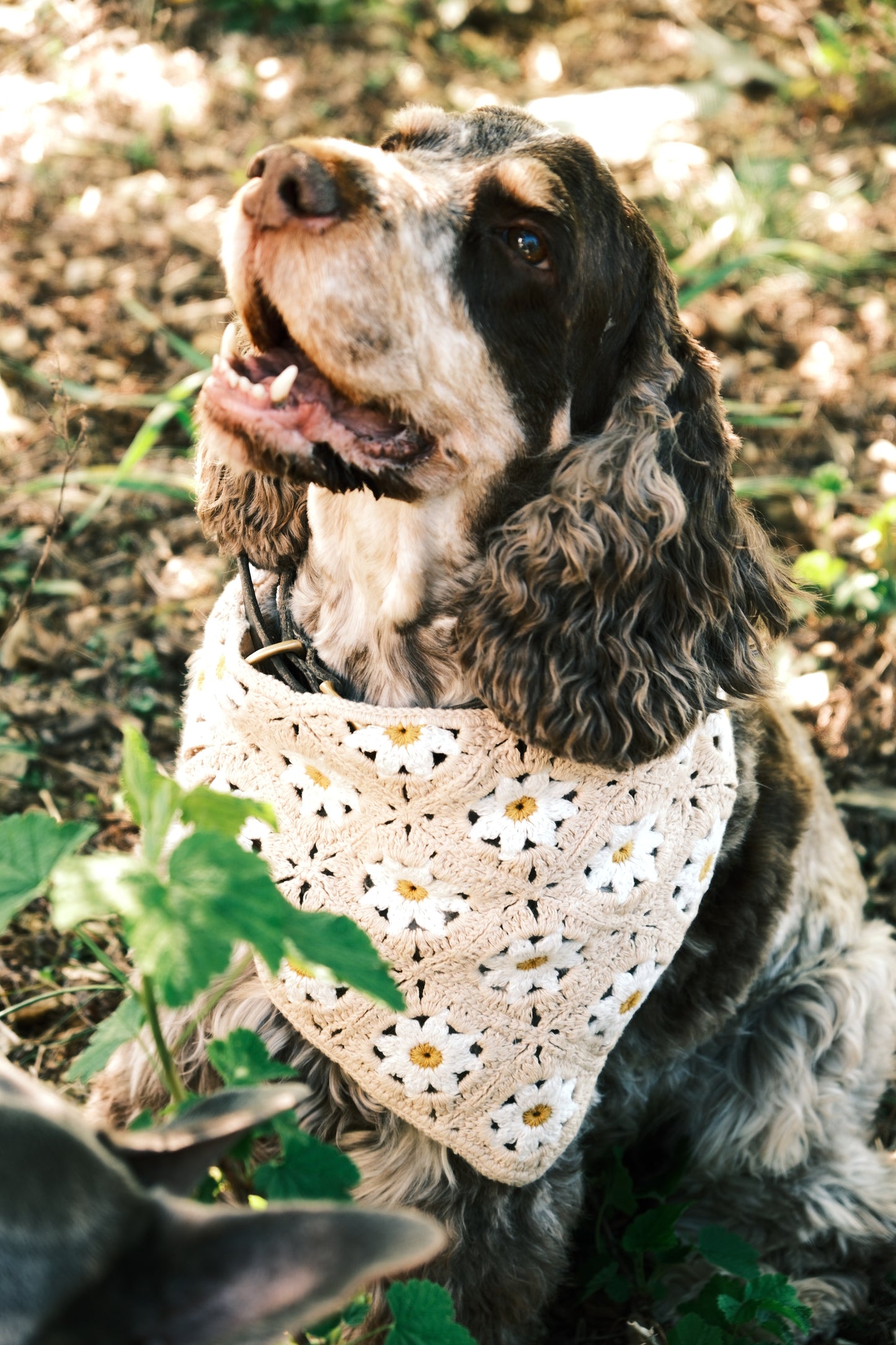 Bandanas