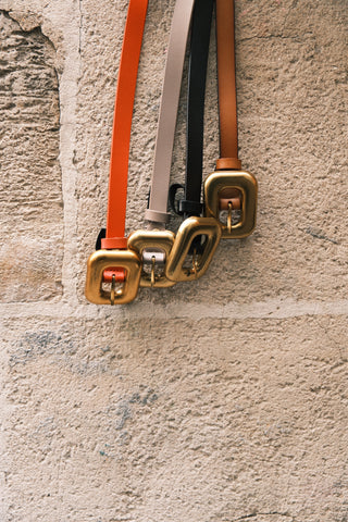 Ceinture chic