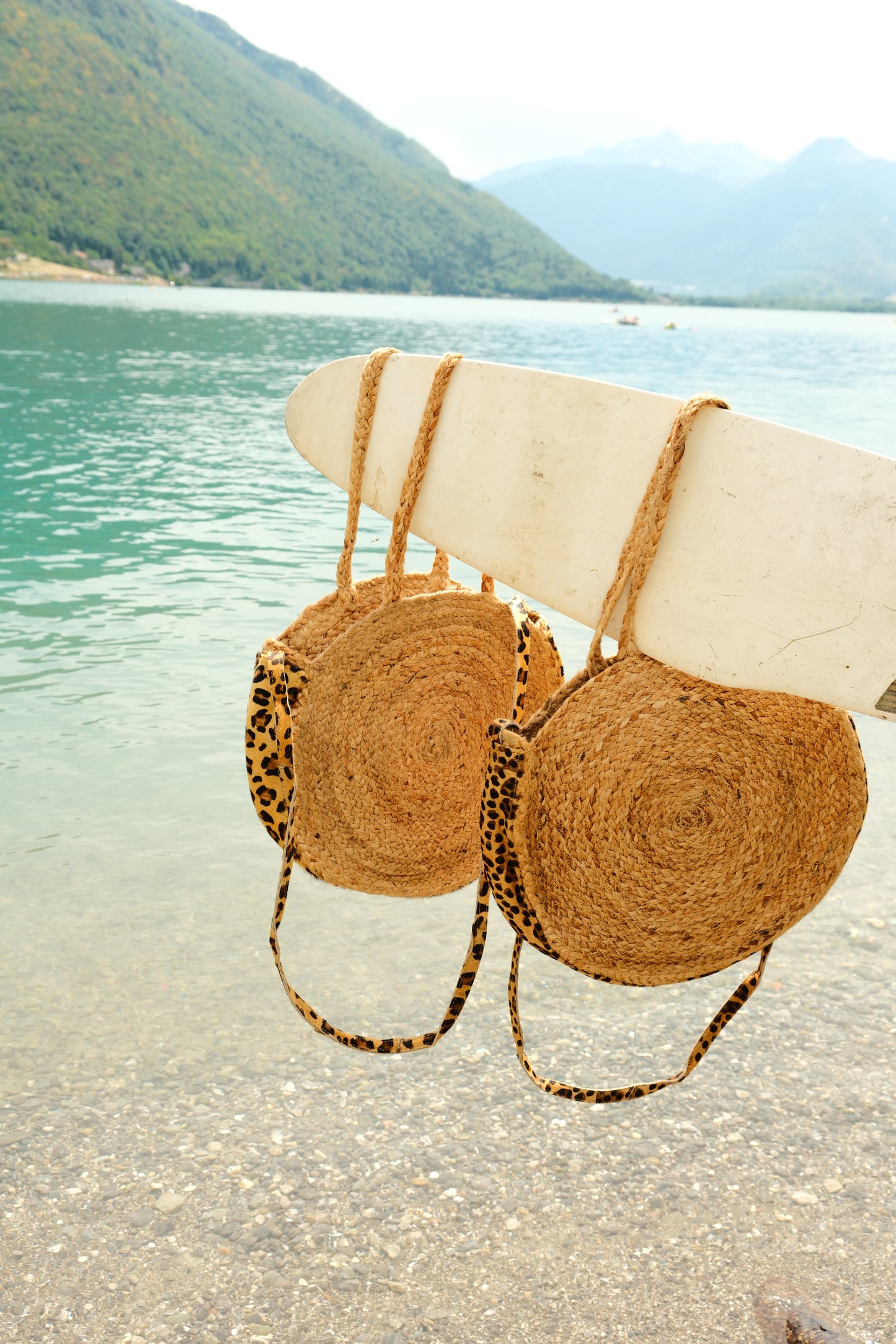 Panier Annecy