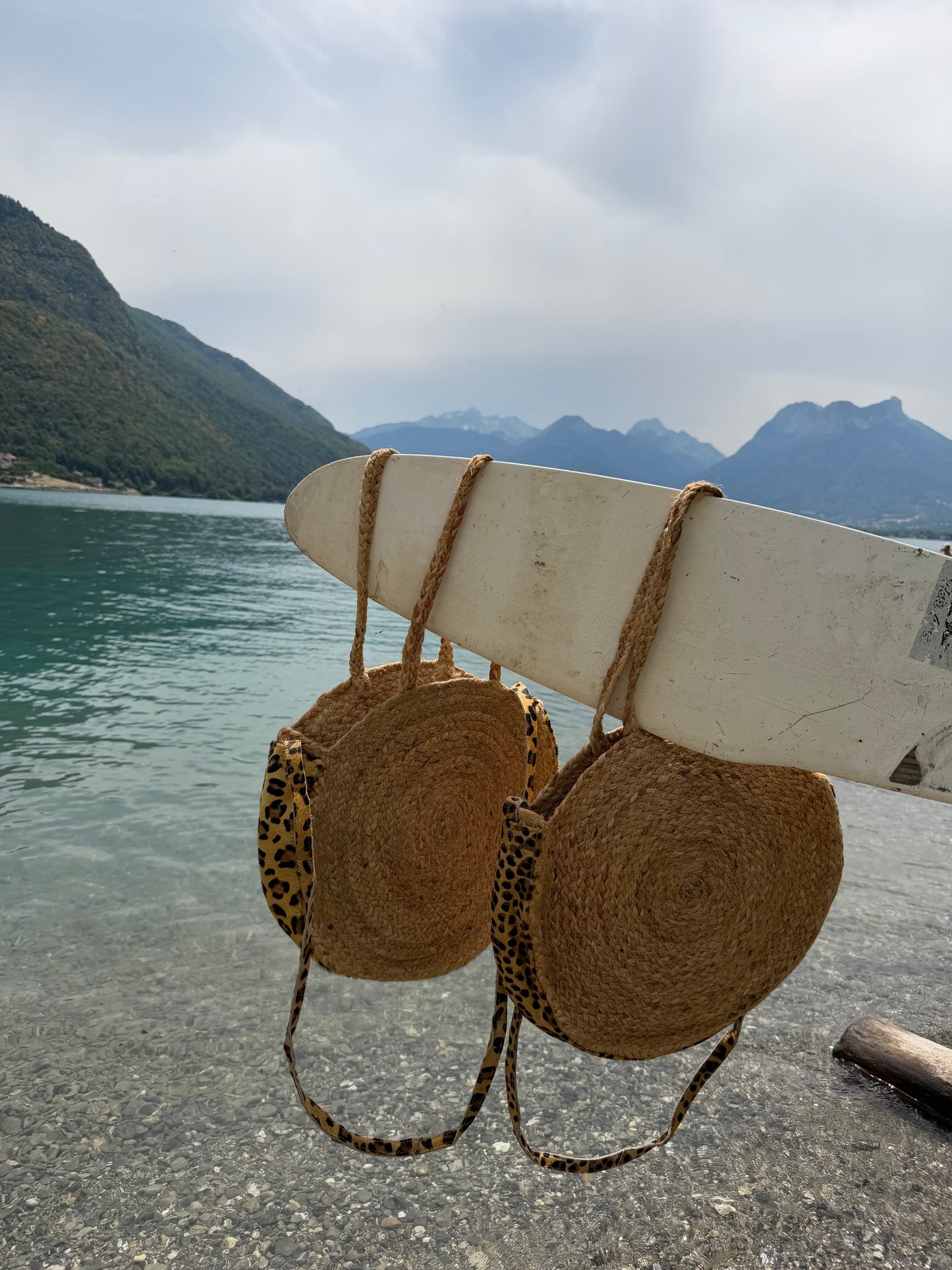 Panier Annecy